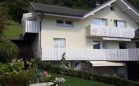 Sirovnik Apartment